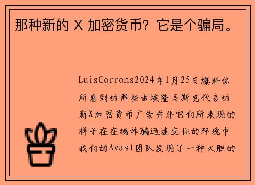 那种新的 X 加密货币？它是个骗局。